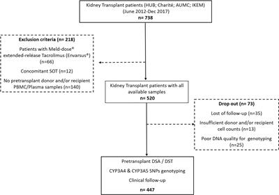 Tacrolimus CYP3A Single-Nucleotide Polymorphisms and Preformed T- and B-Cell Alloimmune Memory Improve Current Pretransplant Rejection-Risk Stratification in Kidney Transplantation